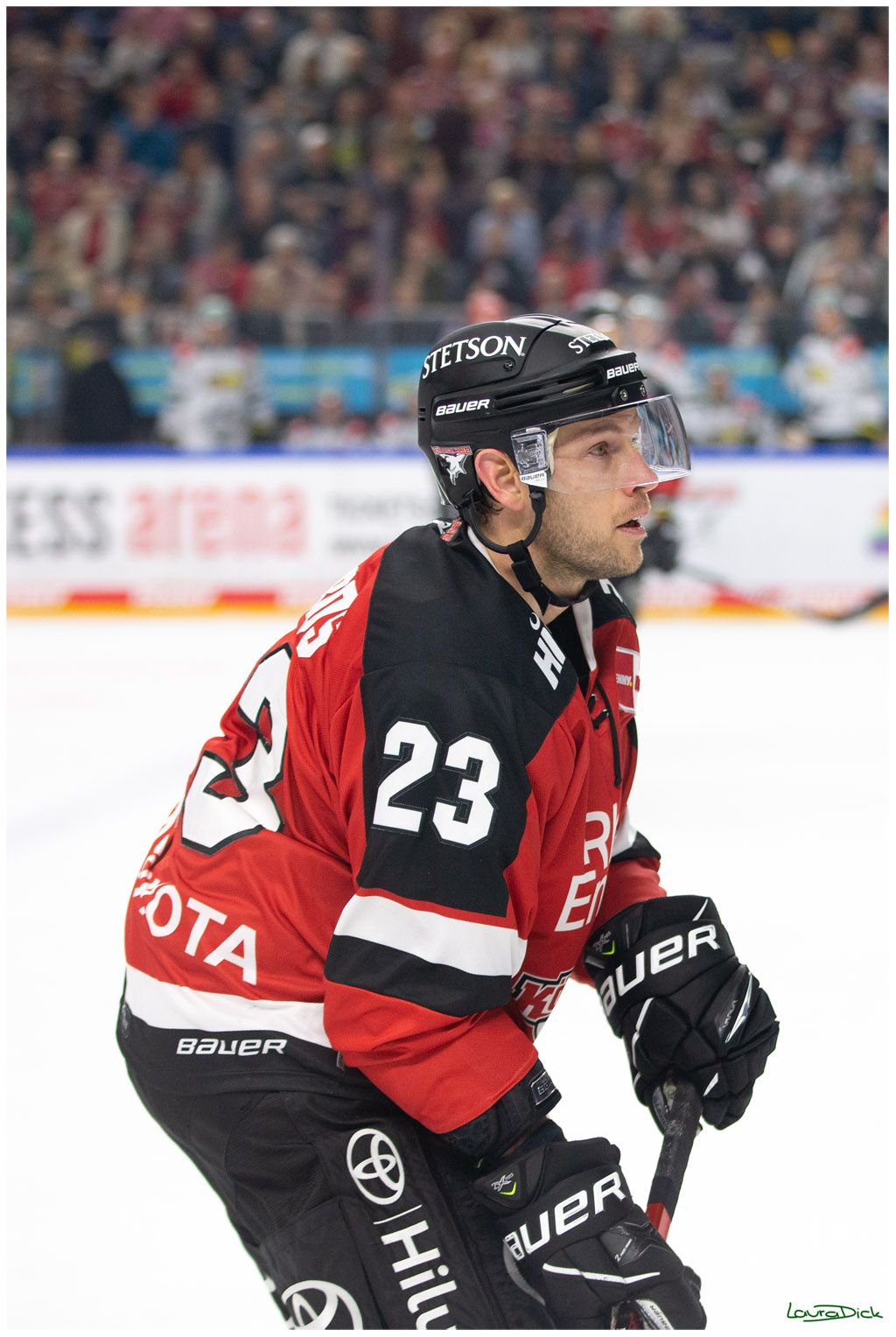 PENNY DEL;  Koelner Haie - Krefeld Pinguins; Koeln, 31.10.2021